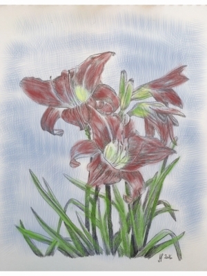 Lilien