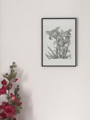 Lilien